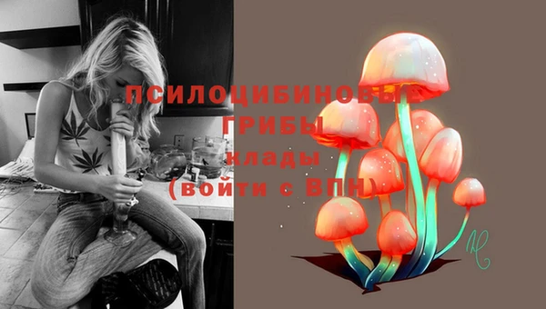 стафф Вязьма