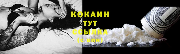 гидра Волоколамск