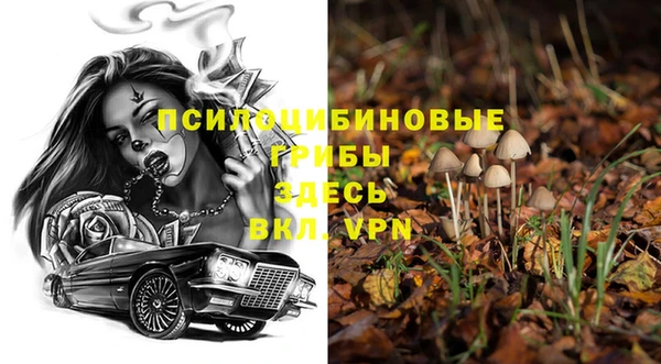 МДПВ Вязники