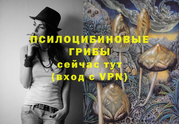 таблы Вяземский
