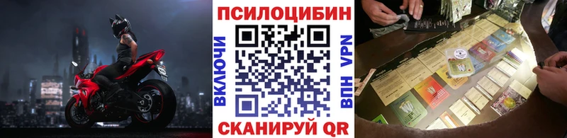 Купить Звенигород Псилоцибиновые грибы MAGIC MUSHROOMS